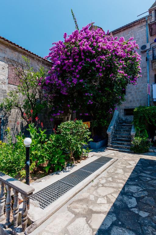 Celine'S Place By The Sea Cattaro Esterno foto